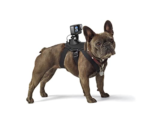GoPro Fetch - Dog Harness