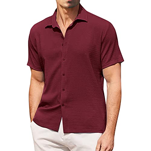 Camisa de peluquería hombre primavera y verano moda casual monocolor burbuja lino botón camisa...